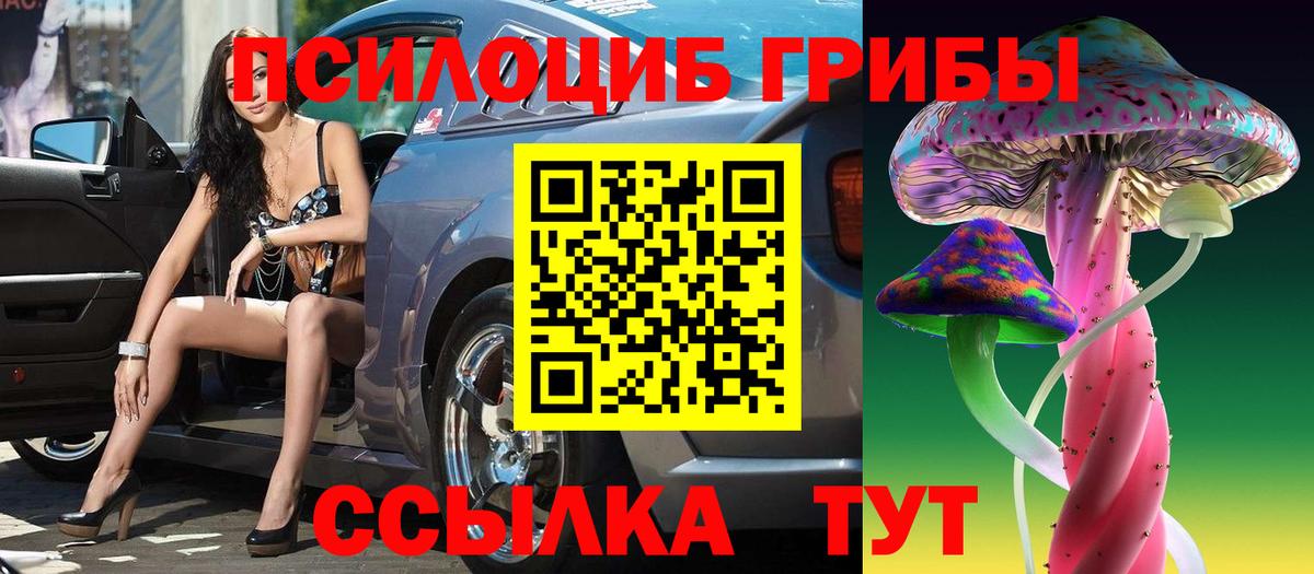 Псилоцибиновые грибы Psilocybine cubensis  Вход с VPN  Псилоцибиновые грибы прущие грибы  Мыски 