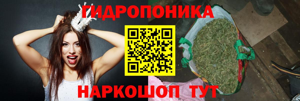 Бошки Шишки ГИДРОПОН Мыски